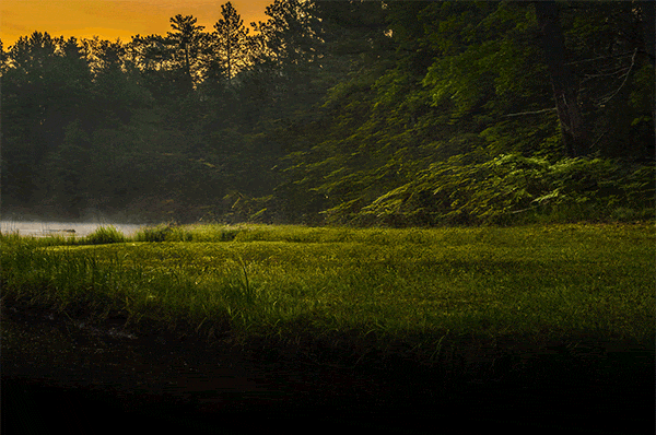 Jeep Recon EV Jeep Recon 4xe Added to Jeep Website -- New Orange (Punk'n?) Photos Recon