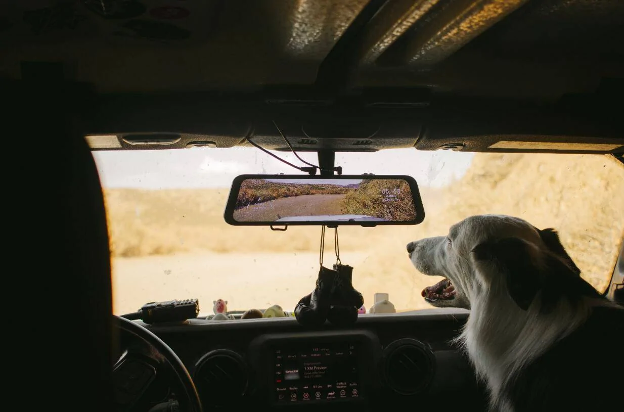 Jeep Recon EV Are You a Cat Person or a Dog Person? Copilot1