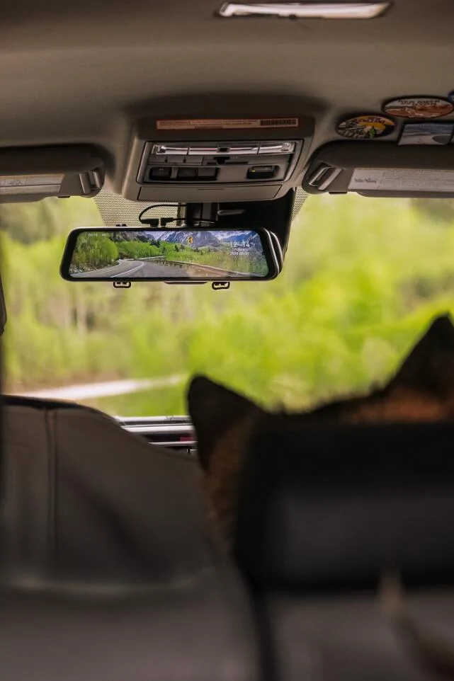Jeep Recon EV Are You a Cat Person or a Dog Person? Copilot2
