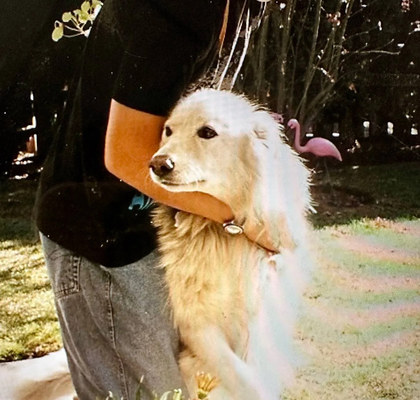 Jeep Recon EV Are You a Cat Person or a Dog Person? IMG_0465